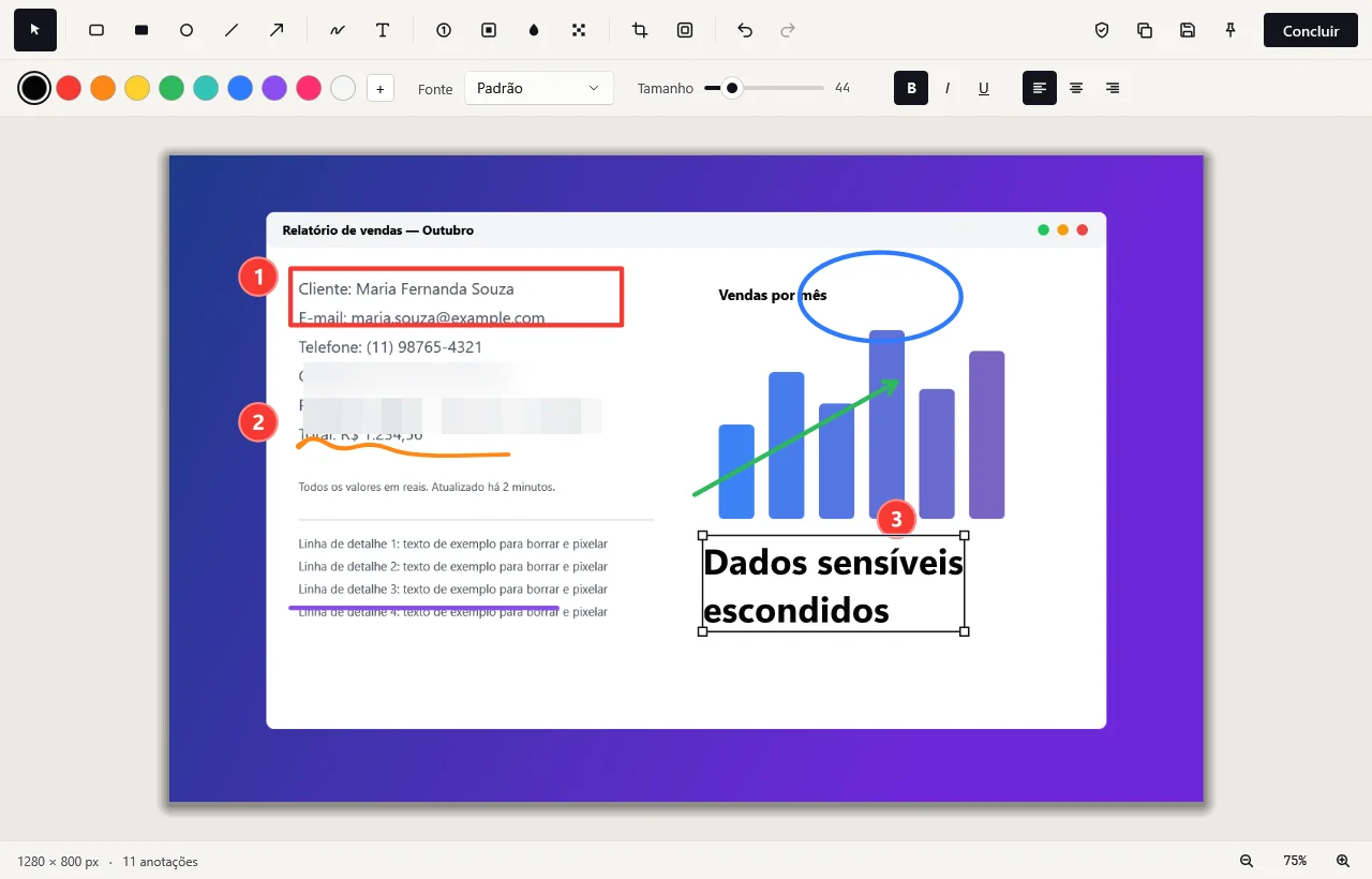 O editor no tema claro com setas, formas, números, texto e áreas borradas sobre a captura