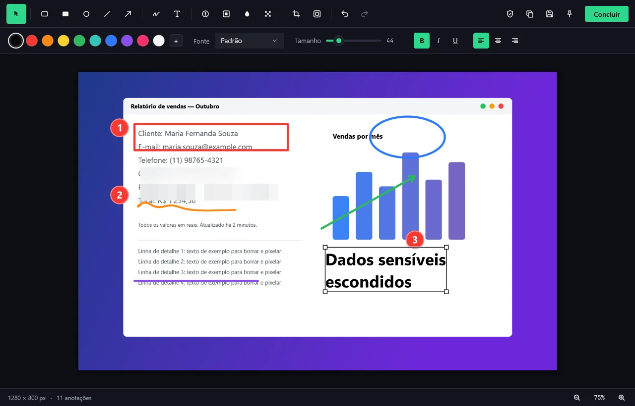O editor no tema escuro com setas, formas, números, texto e áreas borradas sobre a captura